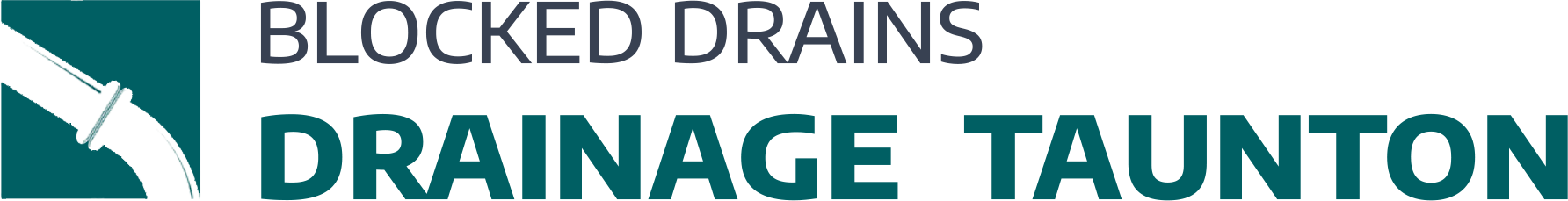 website logo